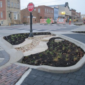 Rain Garden