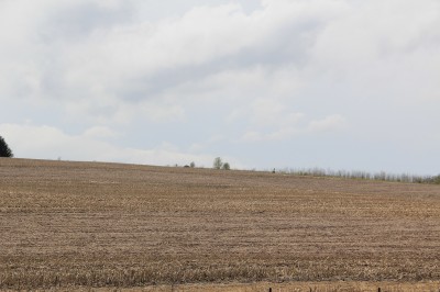 Field that has been no-till for 25 years. This field has already been planted for the year. No erosion is visible in this field. 